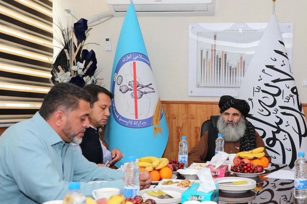 درخواست طالبان از سازمان ملل برای حمایت از کشاورزان با «معیشت بدیل»
