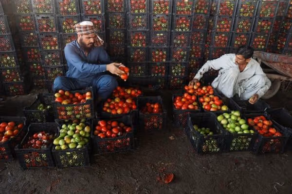 په ۱۴۰۴ کال کې د افغانستان اقتصاد؛ پنځه ټکانونه او یو ستر خنډ