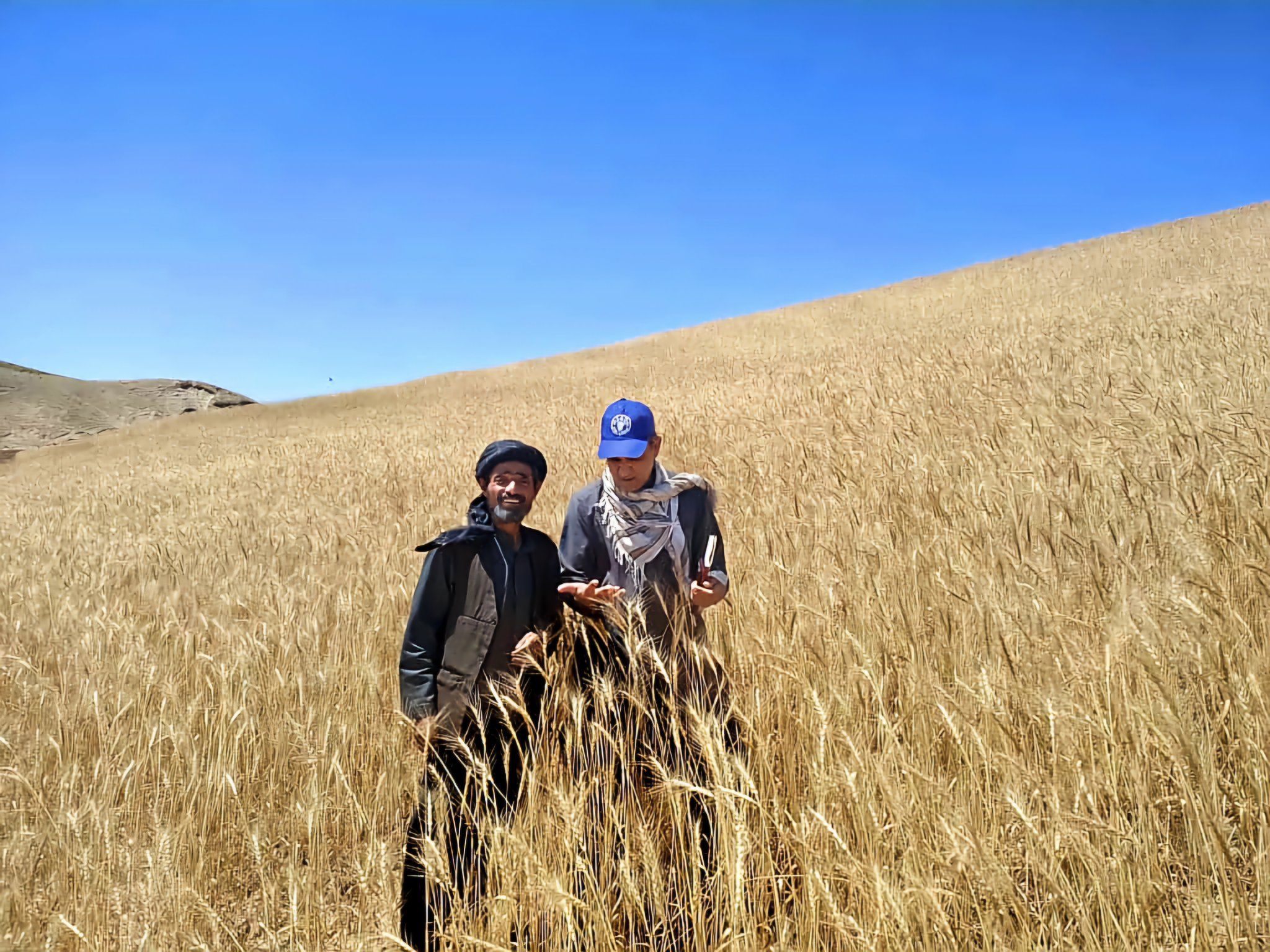 نگرانی سازمان‌ ملل نسبت به تشدید خشکسالی در افغانستان