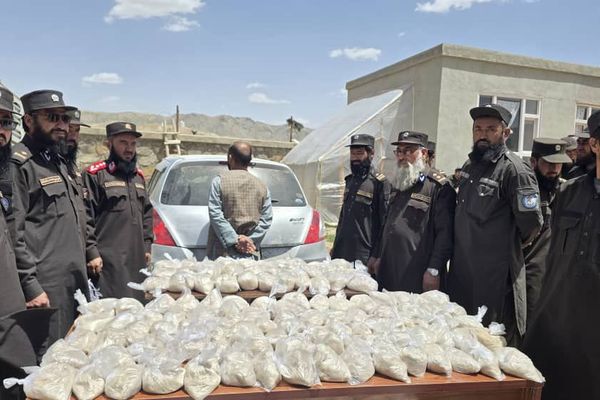 په غور کې یو کس د ۶۱ کیلو ګرامه نشهيي توکو د لېږد په تړاو نیول شوی