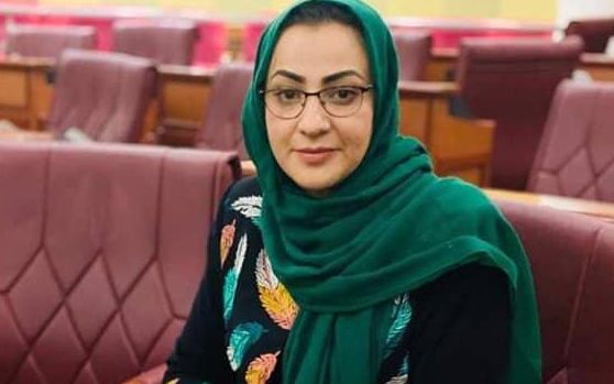 ناهید فرید از تلاش برای ایجاد مرکز پالیسی افغانستان در دانشگاه پرینستون آمریکا خبر داد