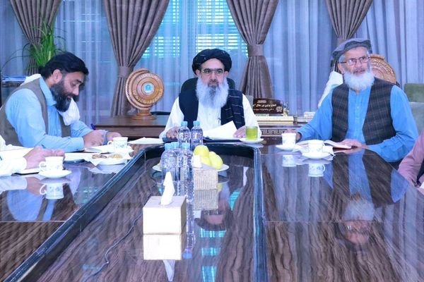 طالبانو له عربي هېوادونو او مرستندویه سازمانونو سره د ګوزڼ واکسین د تطبیق په اړه خبرې کړې