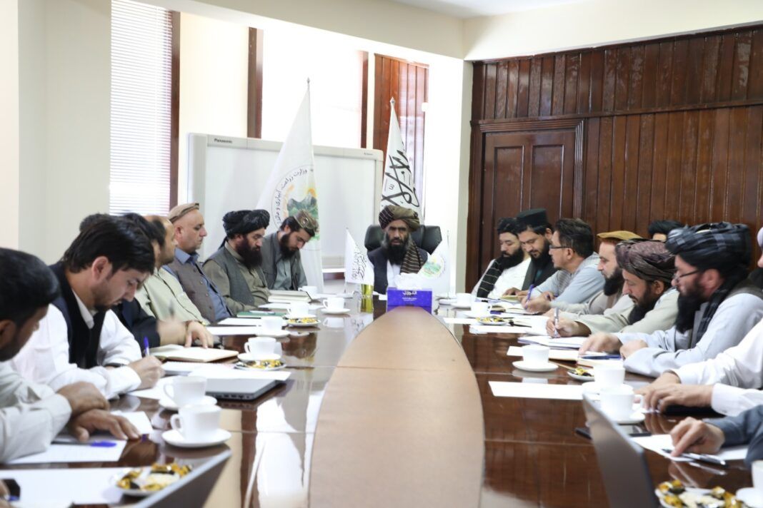 طالبانو په څو ولایتونو کې د معیشت د ښه والي لپاره د ۶ میلیونه پونډو په ارزښت پروژه پیل کړه