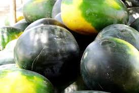  افغانستان کې د تازه مېوو فصل؛ بزګران د خوشحالۍ پرځای نهیلې دي