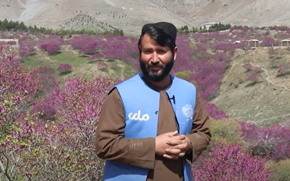 طالبانو په پروان کې د ملي تلویزیون خبریال نیولی دی