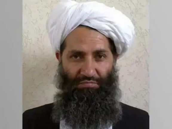 د طالبانو مشر هم پاکستان کې د جنګ ضد فتوا ور کړې، خو د لیکوال په خبره، کوم اغېز نه لري.