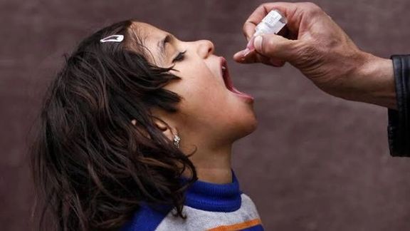 د افغانستان په بېلابېلو سیمو کې د ګوزڼ ضد واکسینو کمپاین نن پیل شو