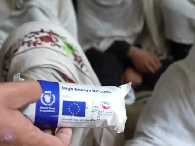 د خوړو نړۍوال پروګرام: په افغانستان کې اکثره ماشومان وږي ښوونځي ته ځي