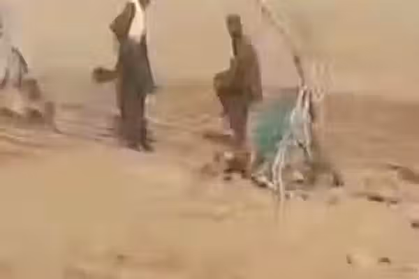 وزيرة الصحة السابقة تدعو معارضي طالبان إلى التوحد لإسقاط الحركة