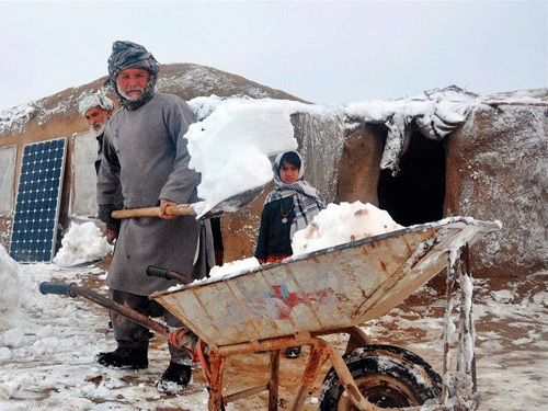 ریچ: درې میلیونه افغانان به په راتلونکي ژمي کې د سختې یخنۍ له ګواښ سره مخ شي