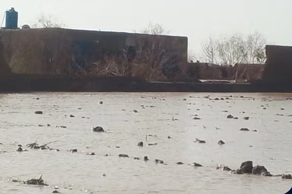 طالبان وایي په فراه کې د سېلابونو له امله بند پاتې ۲۰۰ کسان یې ژغورلي دي