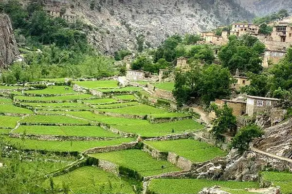 طالبان وایي په کاپیسا کې یې د یوې کورنۍ د څلورو غړو د وژنې په تور یو کس نیولی دی