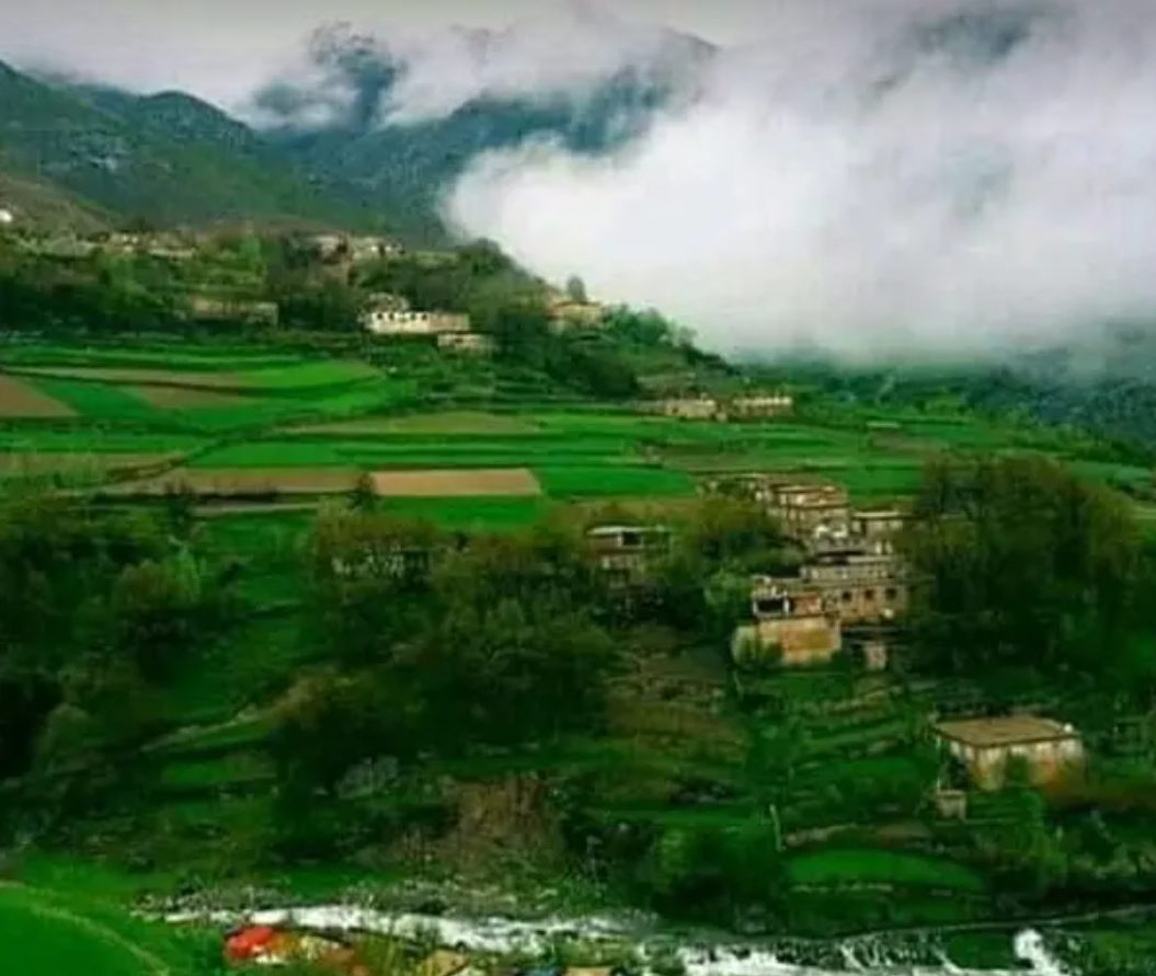 Civilian Shot Dead by Taliban Officials in Panjshir, Claim Local Sources