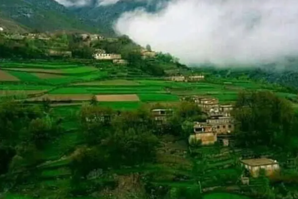 Civilian Shot Dead by Taliban Officials in Panjshir, Claim Local Sources