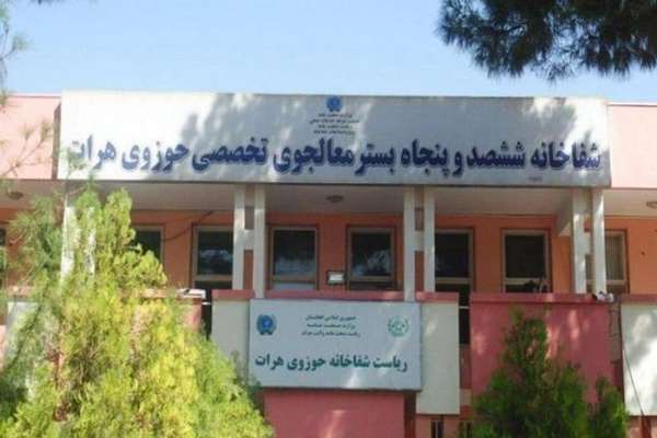 طالبانو د هرات په حوزوي روغتون کې یوه ډاکټره وهلې ده