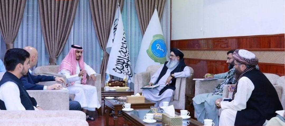 طالبان وايي، روغتیايي خدمتونه باید له سیاست جلا وي