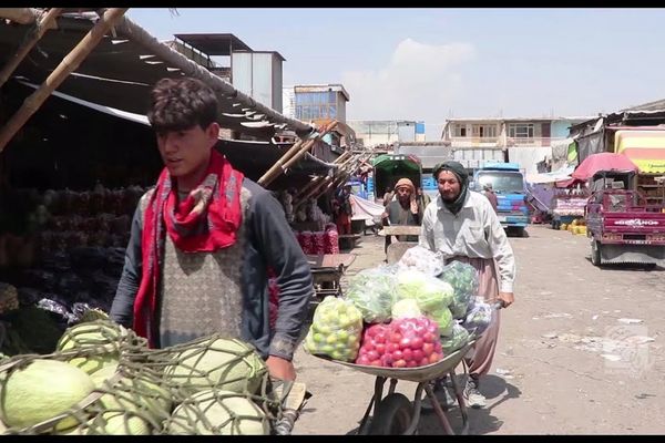 طالبان وايي د کابل ښار د منډوي د انتقال طرحه تر غور لاندې نه ده