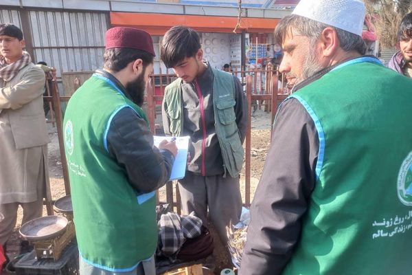 طالبانو په کابل او پکتیکا کې د مرغانو د ښکار په تړاو ۱۸ کسان نیولي دي