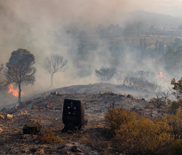 افزایش آتش‌سوزی در جنگل‌ها؛ نخست‌وزیر یونان از وضعیت «جنگی» خبر داد