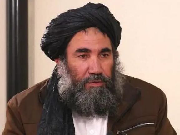 دیپلومات پیشین طالبان: مخالفان علوم عصری جاهل و در لباس اسلام دشمنان مسلمانان هستند