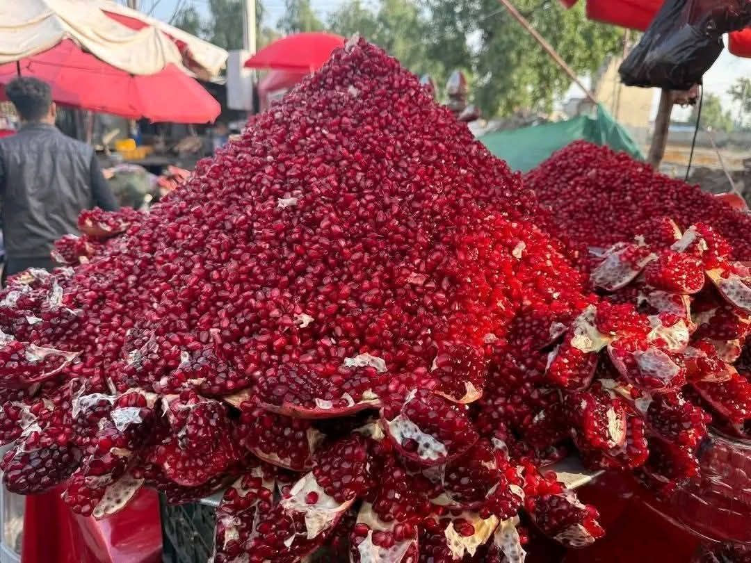 مېوې د لارو بندېدو قرباني؛ د کندهار انارو بیې لوېدلې او بڼوال د باغونو پر پرې کولو غور کوي