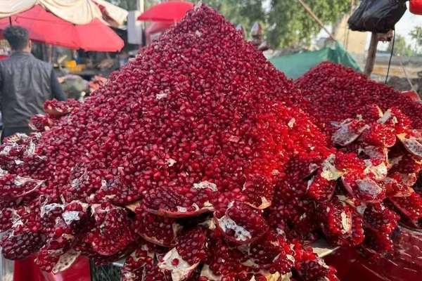 مېوې د لارو بندېدو قرباني؛ د کندهار انارو بیې لوېدلې او بڼوال د باغونو پر پرې کولو غور کوي
