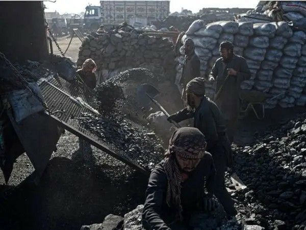 'طلای سیاه طالبان'؛ روزانه 'صدها' تُن زغال‌سنگ در بغلان استخراج می‌شود
