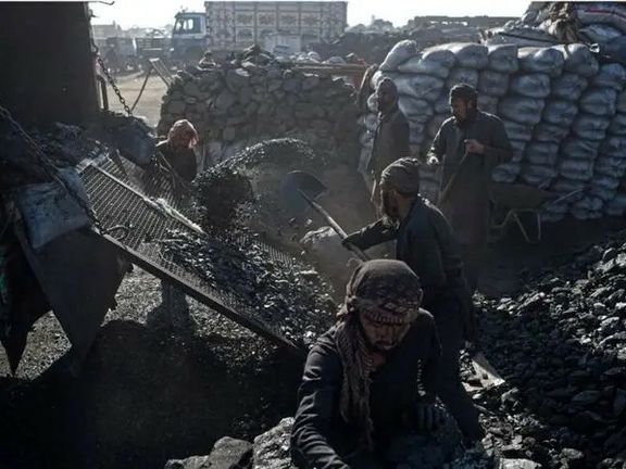 'طلای سیاه طالبان'؛ روزانه 'صدها' تُن زغالسنگ در بغلان استخراج میشود