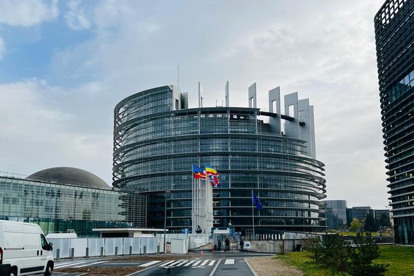 European Parliament To Debate Aid for Afghan Women & Quake Victims