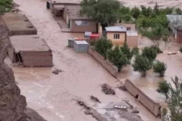 Afghan Women Are Primary Victims Of Climate Crisis, Says Taliban Official