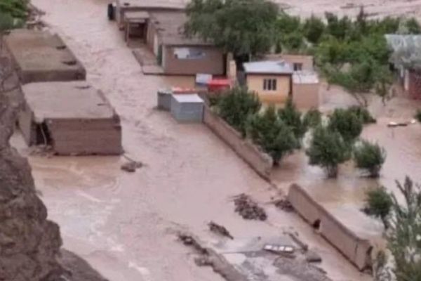 Afghan Women Are Primary Victims Of Climate Crisis, Says Taliban Official