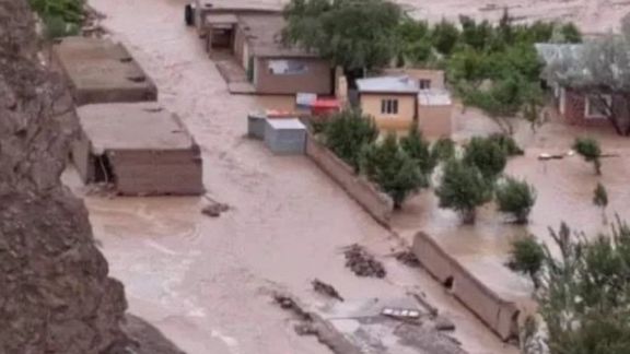 Afghan Women Are Primary Victims Of Climate Crisis, Says Taliban Official