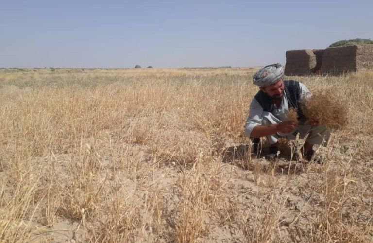 ملګري ملتونه: د افغانستان په ځينو سیمو کې د سېلاب او وچکالۍ احتمالي ګواښونه زیات شوي