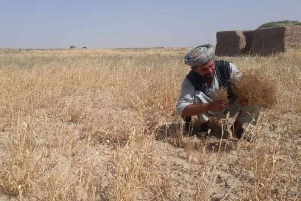 ملګري ملتونه: د افغانستان په ځينو سیمو کې د سېلاب او وچکالۍ احتمالي ګواښونه زیات شوي