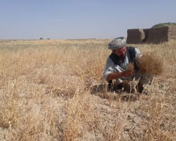 ملګري ملتونه: د افغانستان په ځينو سیمو کې د سېلاب او وچکالۍ احتمالي ګواښونه زیات شوي