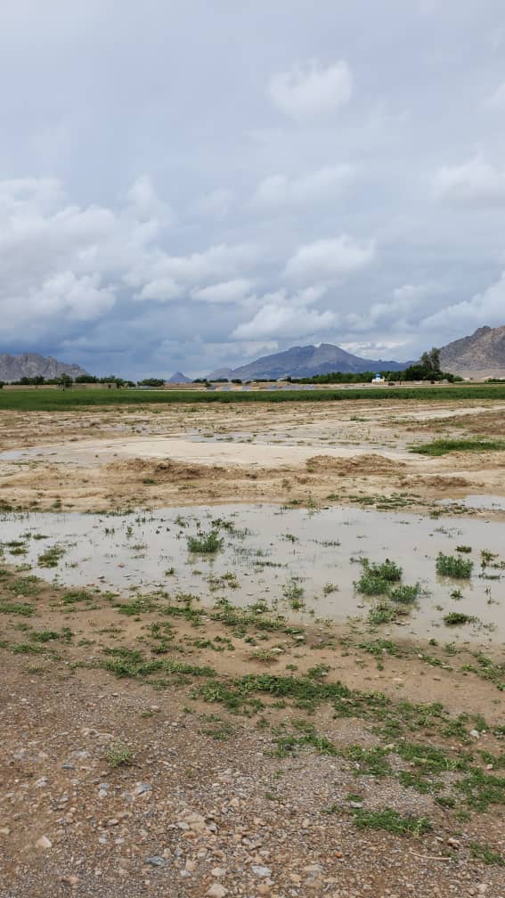 طالبانو د کندهار په ۱۹ ولسواليو کې د امربالمعروف ریاست ته زر- زر متره دولتي ځمکه ورکړې