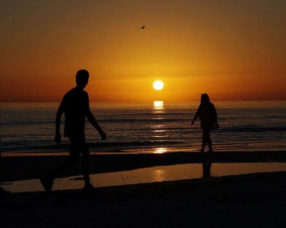 چرا جوانان شاد نیستند؟ دنیای آنلاین مقصر است؟