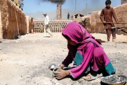 د ماشومانو د ژغورنې اداره: په شمالي ولایتونو کې له هرو پنځو ماشومانو یو یې ښوونځي ته ځي