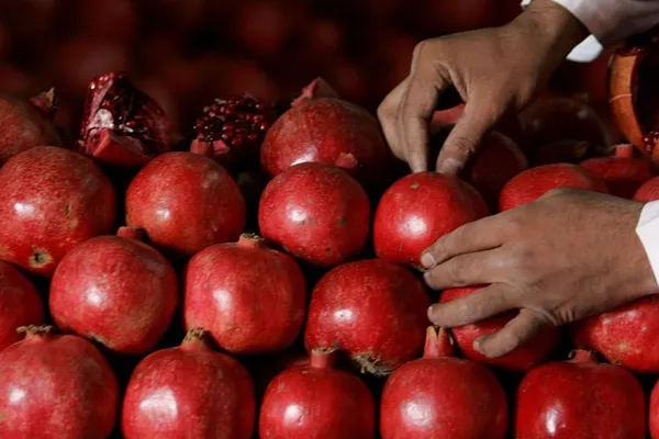 د طالبانو د کندهار او بلخ والیانو په ازبکستان کې د انارو پر صادراتو خبرې کړي