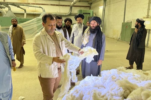 ازبکستان او طالبان د پنبې او نساجي محصولاتو پر ګډه پروژه کار کوي