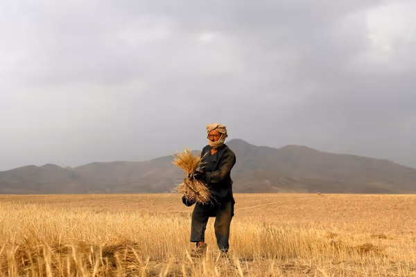 UN & ADB Launch $100M Food Security Project In Afghanistan