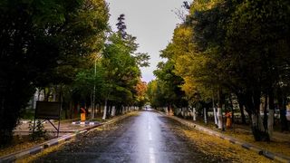 له ټولنیز مسوولیت د ځان خلاصولو لپاره د لوستي قشر درې پلمې