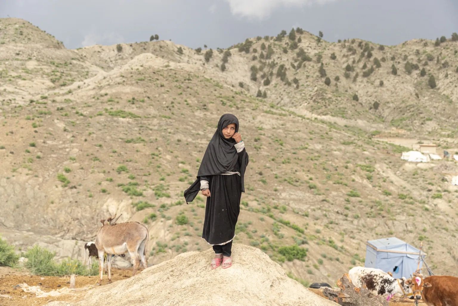 ویرجینیا ګامبا: په افغانستان کې د ماشومانو وضیعت خورا زیانمنونکی دی