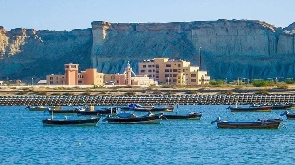 چينايي شرکت په ګوادر کې د خرو قصاب خانه تړلې