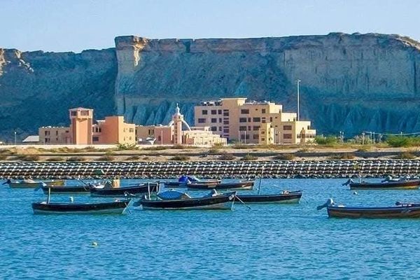 چينايي شرکت په ګوادر کې د خرو قصاب خانه تړلې