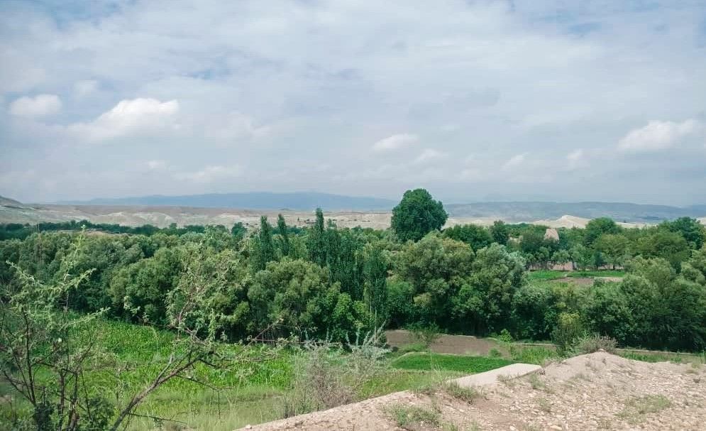 کورنی تاوتریخوالی؛ په ننګرهار کې یوه پلار خپل زوی وواژه