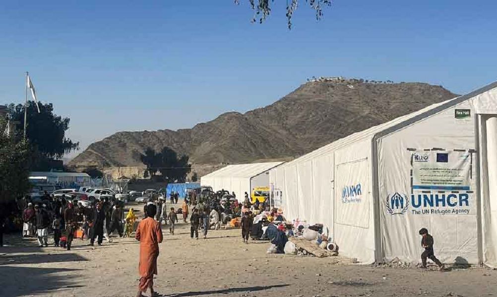 پاکستاني چارواکي: تېرو شپږو میاشتو کې له هریپور نه د ستنېدونکو افغان کډوالو شمېر زیات شوی