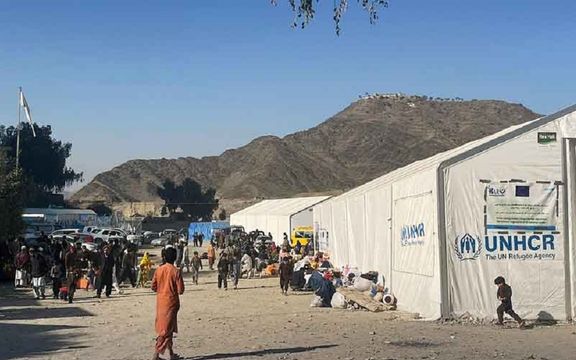 پاکستاني چارواکي: تېرو شپږو میاشتو کې له هریپور نه د ستنېدونکو افغان کډوالو شمېر زیات شوی