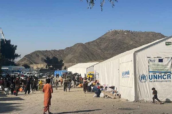 پاکستاني چارواکي: تېرو شپږو میاشتو کې له هریپور نه د ستنېدونکو افغان کډوالو شمېر زیات شوی