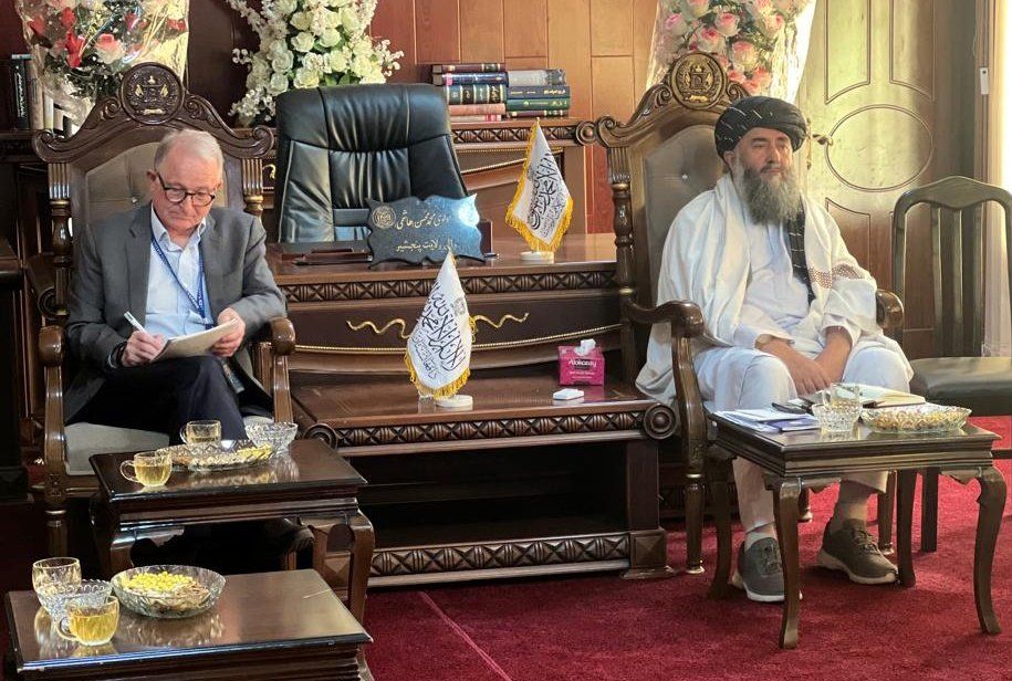 گزارشگر ویژه سازمان ملل برای بررسی وضعیت حقوق بشر به پنجشیر رفت